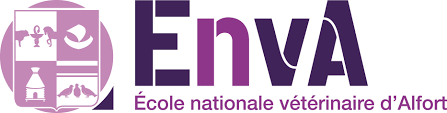 ENVA